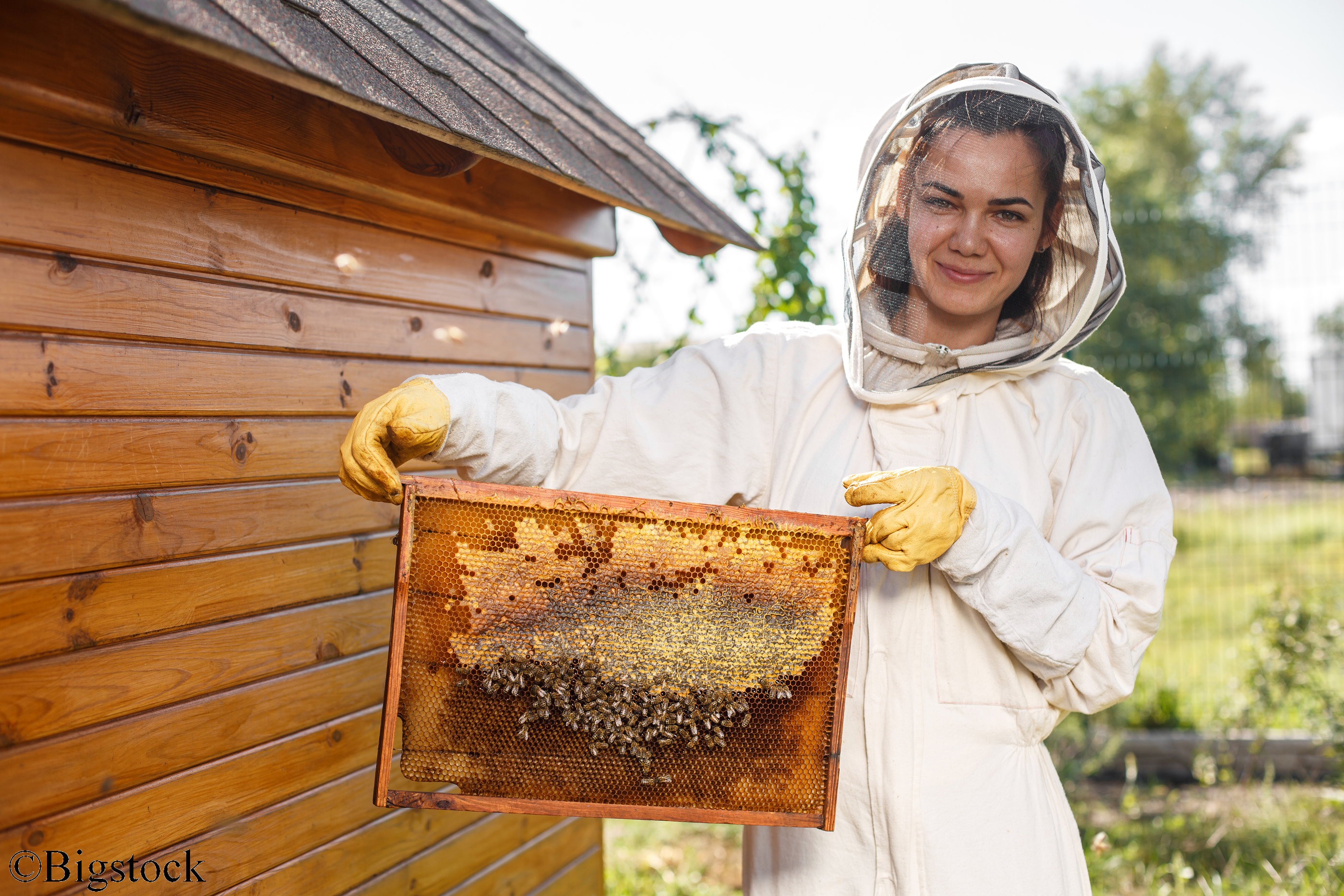 Женщина пчеловод на пасеке